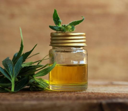 A kannabisz olaj mire jó? CBD Olaj