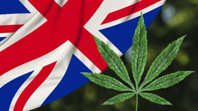 Anglia orvosi kannabisz