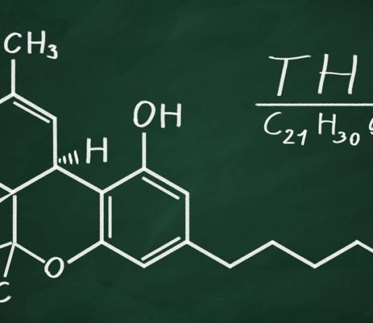 THC – Tetrahidrokannabinol thc Tetrahidrokannabinol