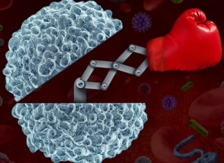 CANNABIS & IMMUNRENDSZER: KOMPLEX KIEGYENLÍTÉS