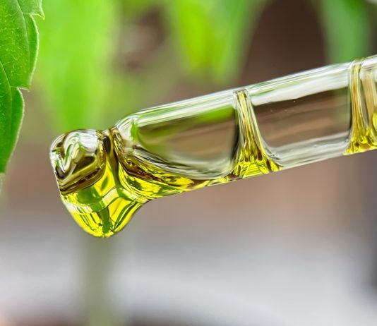 Kannabisz olaj tapasztalatok, CBD olaj vélemények kannabisz olaj tapasztalatok