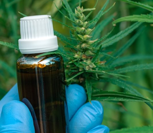 Céget tiltottak be szennyezett CBD-olaj értékesítése miatt kannabisz olaj