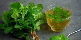 Borsmenta tea hatása borsmenta tea